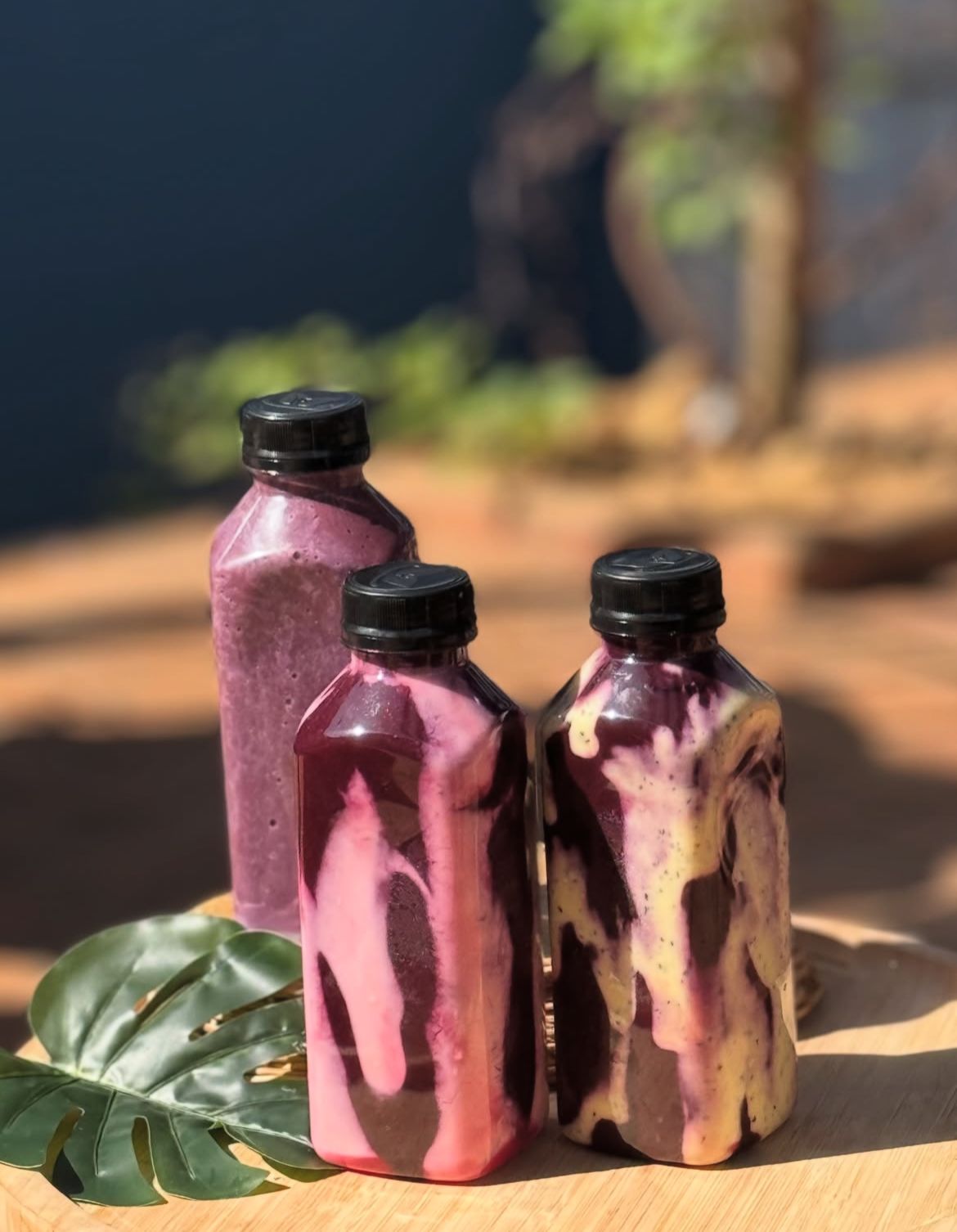 Curso Bee Açaí